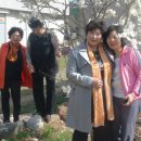 김말례 농장 이미지