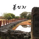 온평리-12 이미지