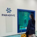[파라다이브]PADI3 프리다이빙1회차 강습기록💙