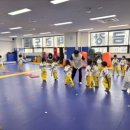 금강태권도 파워점핑 이미지