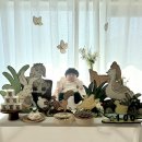 꿈꾸는 정원 | [백일촬영] 셀프 아기 백일 촬영/백일상 대여 fairytaletable(페어리테일테이블)후기/꿈꾸는 정원