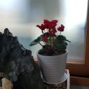 석란정펜션 이미지