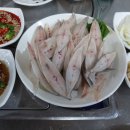 사계절맛집 - 사천시 | 사계절맛집