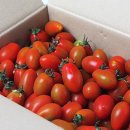 김주식농장 이미지