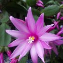 성우세차장 이미지