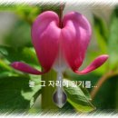 그자리 이미지