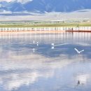 운성목장 이미지