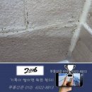 "식초도 베이킹소다도 아니었다"… 욕실 곰팡이 한 번에 없애는 재료(락스) 이미지