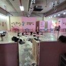 고양이살롱앤카페 이미지