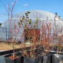 방아농장 이미지