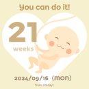 (주)바소케어 | [09.16-09.22] 임신 21주차, 추석연휴, 정밀초음파(전치태반 소견), 초음파 앨범 정리