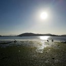 가우도 한옥펜션 이미지