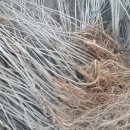 황기슈퍼 이미지