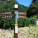 유격장 지나 이미지