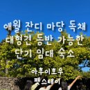 아후이호우 | 애월 애견동반 숙소 제주 감성 돌담 마당이 있는 대형견도 가능한 독채 아후이호우 펫스테이