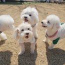 스토리 멍 이미지