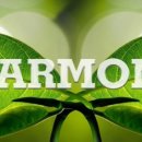 춘천우리한의원 이미지