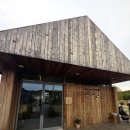 백설애견 이미지