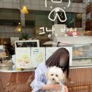 널독(NERDOG) 이미지
