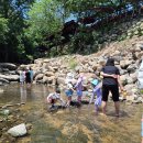 팔공산식당 | 대구근교계곡식당 찾는다면 팔공산 참새미골 후기 🏞️💚