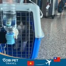 코비 트래블 이미지