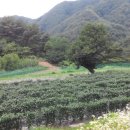 (주)두호 이미지