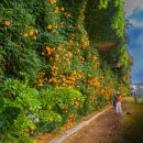 뚝섬한강공원-24 이미지