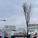 삼거리떡집 - 해운대구 아랫반송로21번길 12-6 | 삼거리떡집