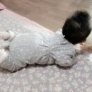 신동-106 이미지
