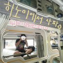 사파제2경로당 | [베트남 슬리핑버스 G8🚌]하노이→사파 슬리핑버스 후기🌾🚍🚏