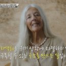 호지 이미지
