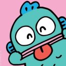 데이현