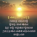 만물천하 이미지