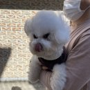 수원-0148 이미지