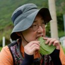 바다슈퍼;바다민박