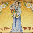 성모의지 이미지