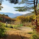 내4리 마을회관 이미지