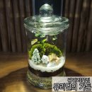 부산물만골 우편취급국 인근 | 광안리 꽃집 뮤리엘의 가든에서 테라리움 만들기 후기