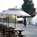 오창(남이) 이미지