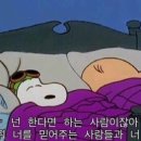 선택과집중