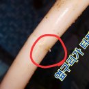 불당골1 이미지