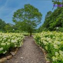 1852 | [가평 숙소 펜션 엠티 장소 추천] 더스테이힐링파크 가평의 자연 속 힐링 공간