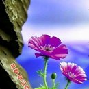 i feel love 이미지