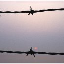 아~ 그날 우리는 이미지