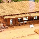 귤수소조 이미지