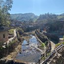 하촌할머니 이미지