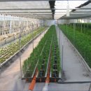 다모아농장 이미지