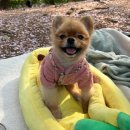 굿모닝 병원 앞 - 우 이미지