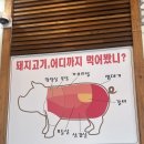 돈대장 | ✨마산 어시장 고깃집/ 돈대장 맛집/ 후식 파인애플샤베트/ 돈대장 후기✨