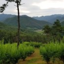 매송농장 이미지